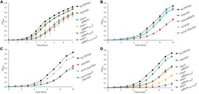 Translational GTPase BipA Is Involved in the Maturation of a Large Subunit of Bacterial Ribosome at Suboptimal Temperature